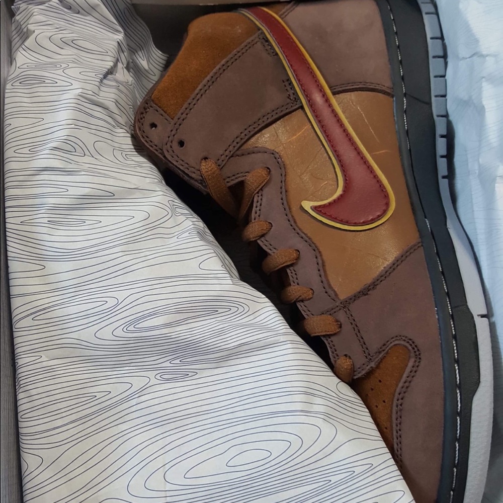 Authentic DS Sb Dunk “Cigar city”